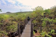 Travessia Das Sete Quedas O Trekking Do Parque Nacional Da Chapada Dos