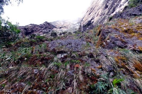 Imagens do Monte Roraima