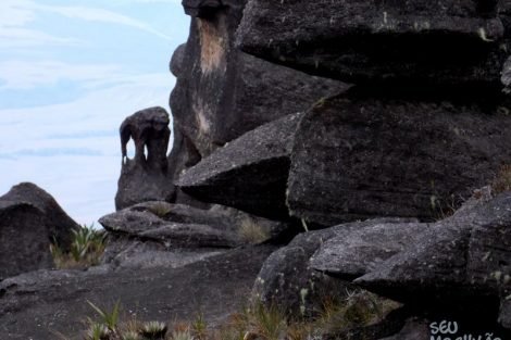 Monte Roraima