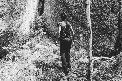 Pico do Lopo
