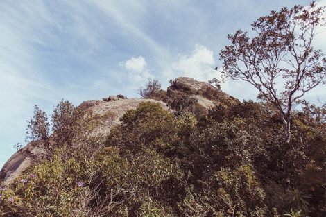 Pico do Lopo