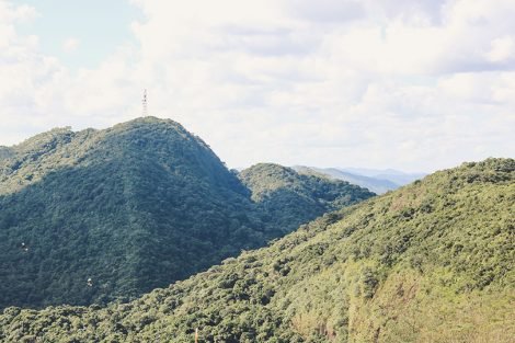 Trilha para a Pedra do Sapo