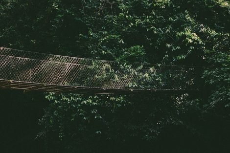 Ponte