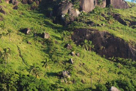 Praia do Bonete