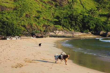 Praia do Bonete