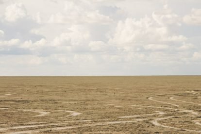 Etosha National Park