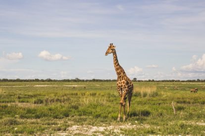 Etosha National Park