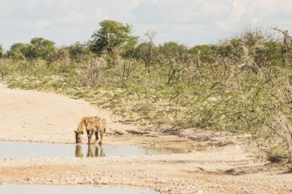 Namíbia, África