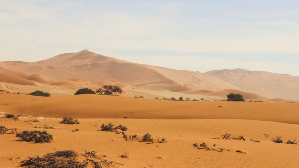 Sossusvlei, Deadvlei, Namíbia