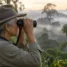 Observadora de aves usando binóculo na borda da mata atlântica ao amanhecer, com névoa entre as árvores