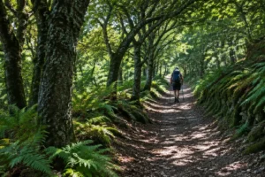 Paisagem da etapa de Caldas de Reis a Padrón no Caminho Português