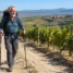 Peregrino de mais de 60 anos fazendo o Caminho de Santiago entre vinhedos