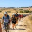 Peregrinos sob sol forte em campos secos: Caminho de Santiago em julho