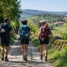 Grupo de peregrinos caminhando juntos: Caminho de Santiago sozinho ou acompanhado