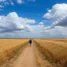 Trilha reta até o horizonte na Meseta do Caminho de Santiago