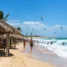 Barracas de praia com cobertura de palha, mar com ondas e pipas de kitesurfe no céu