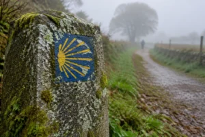 Marco de pedra com a vieira do Caminho de Santiago em trilha rural da Galícia com névoa