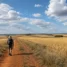 Peregrino na terra vermelha entre trigais, os quatro elementos no Caminho de Santiago