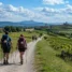 Peregrinos caminhando entre campos e vinhedos no norte da Espanha em roteiro do Caminho de Santiago