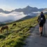 Subida dos Pirineus entre Saint-Jean-Pied-de-Port e Roncesvalles