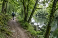 Paisagem da etapa de Tui a O Porriño no Caminho Português