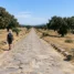 Peregrino na antiga estrada romana da Via de la Plata, Caminho de Santiago
